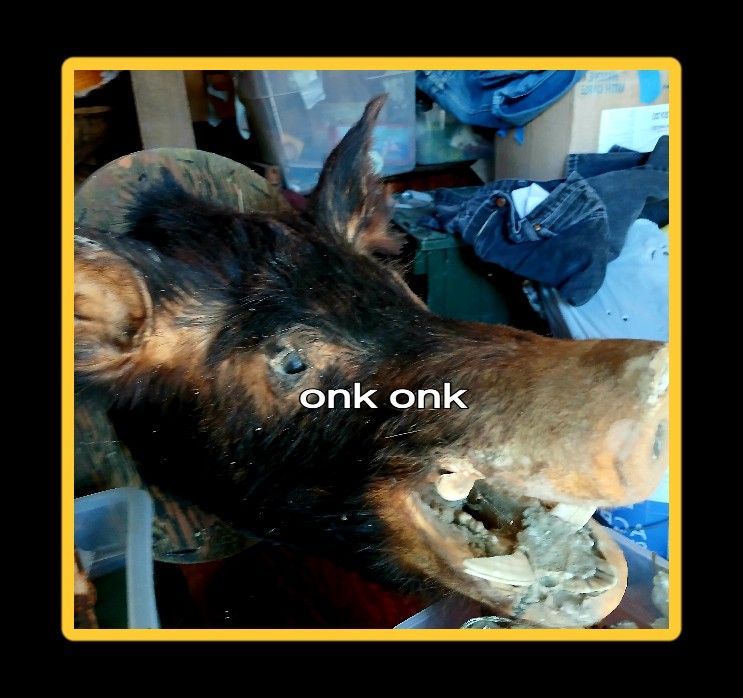 Mounted Wild Boar