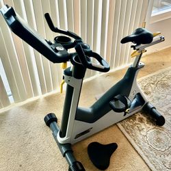 Lemond Hoist UT Upright Trainer