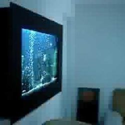 Wall Acuarium 