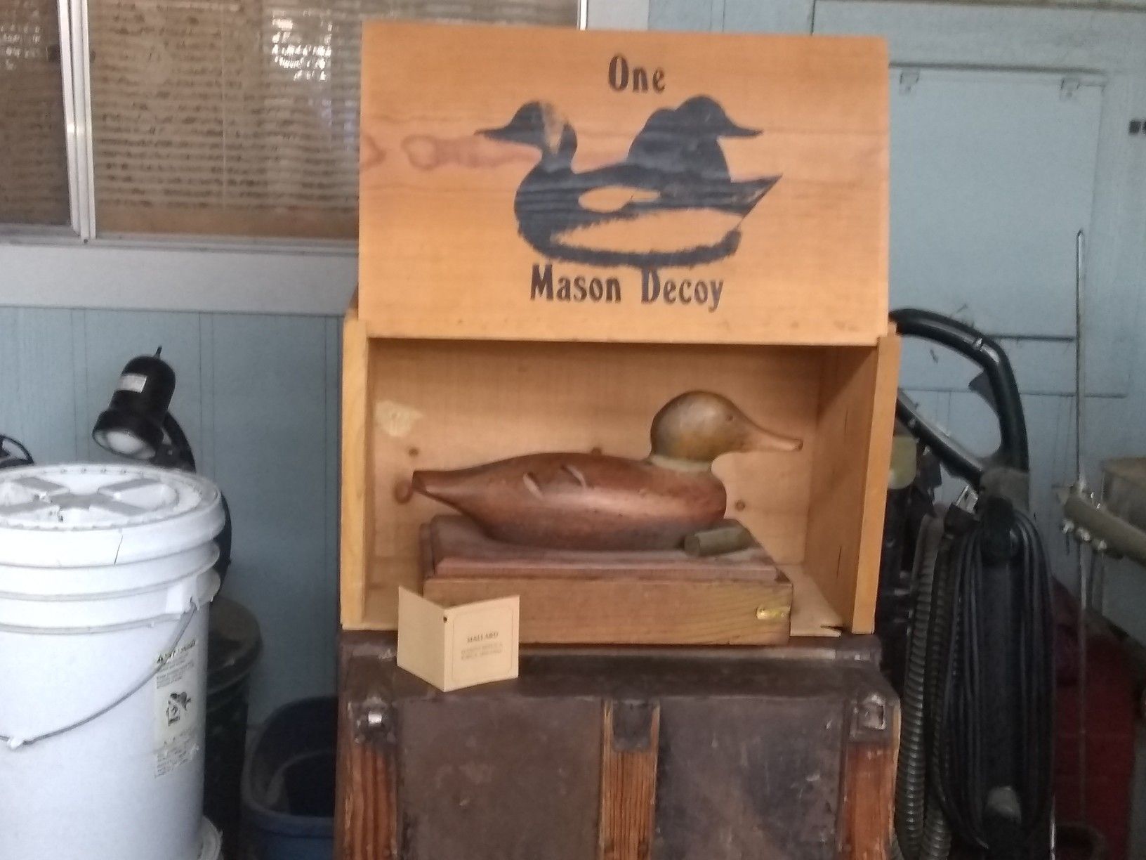 Mason decoy