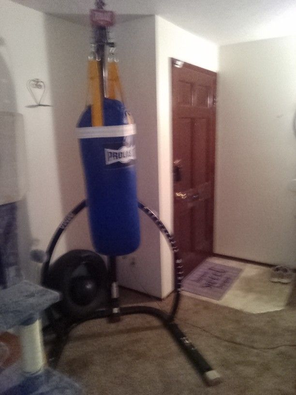 Punching/Kick Bag With Stand