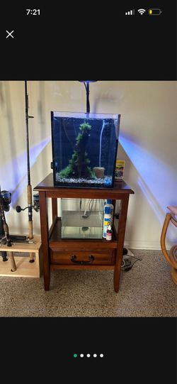Saltwater fish tank with accessories