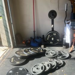 Gym Equipment For Sale 
