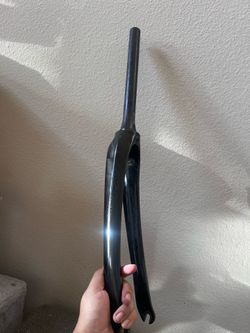 Carbon fork