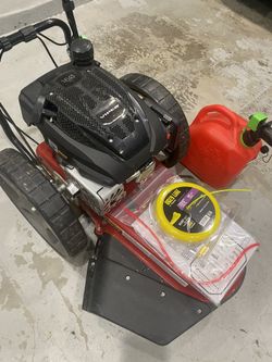 Gas Powered Mower Earthquake 22 in