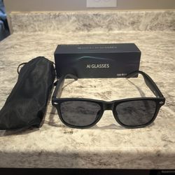 AI glasses 