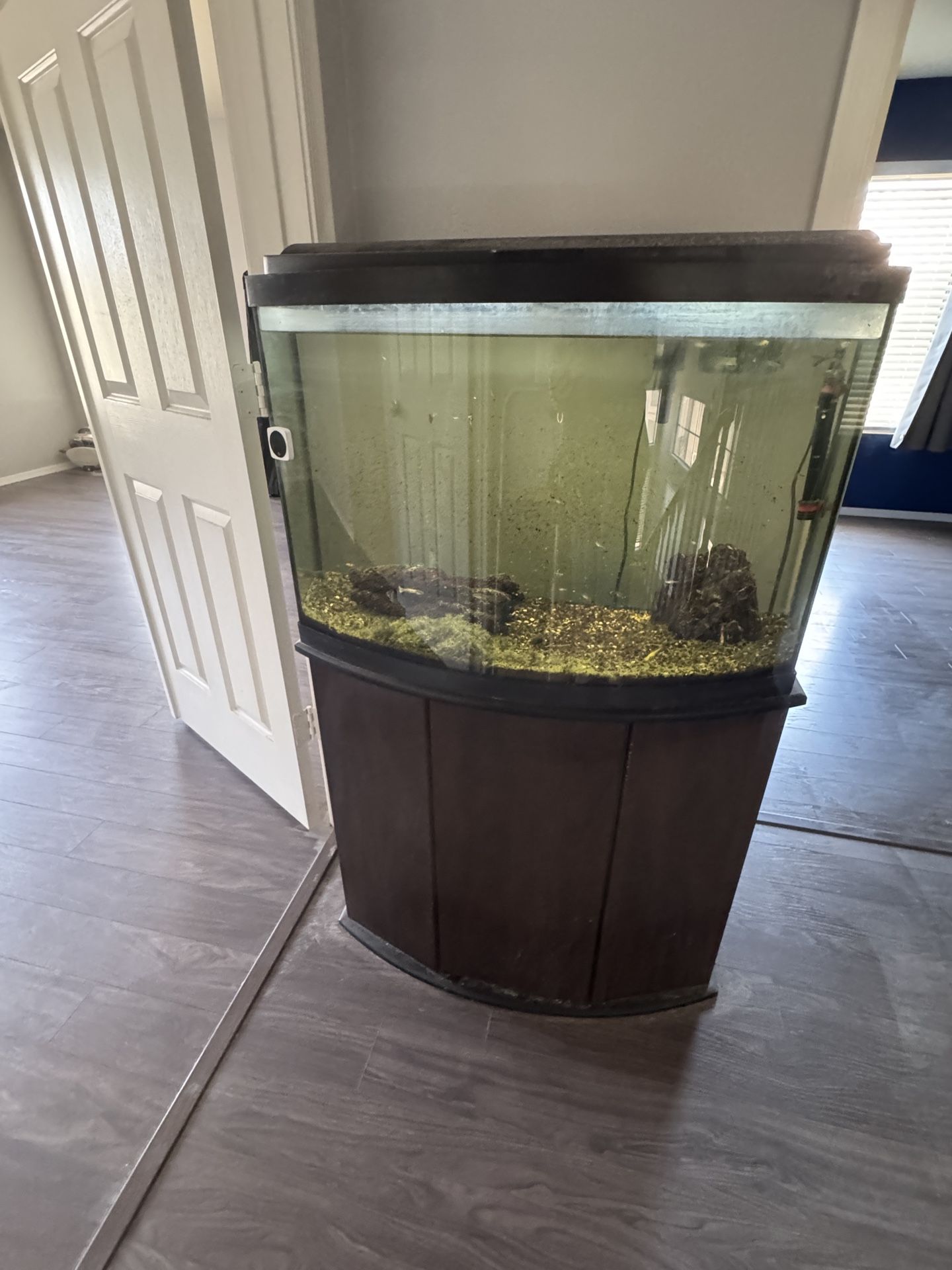 Bow front Fish Tank 36 Gallon