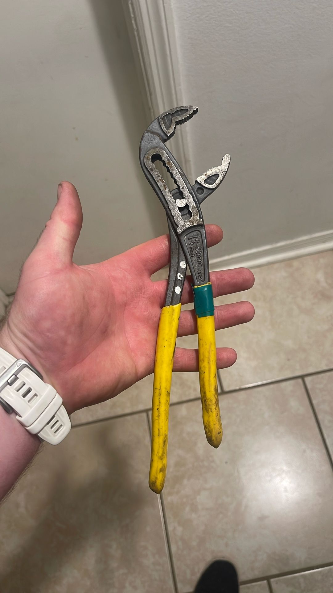 Klein Alligator Players