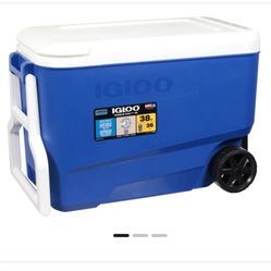 Cooler