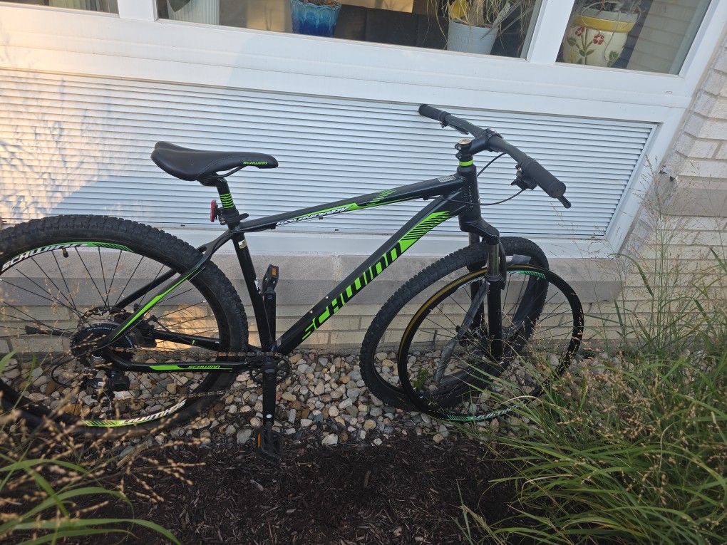 Nice Schwinn