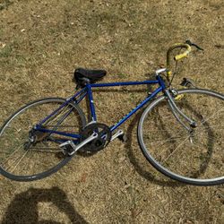 Vintage Raleigh Classic Steel Road Bike 