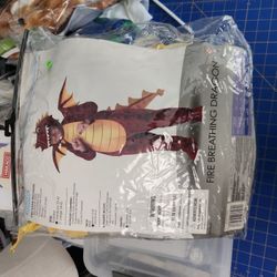 Kids fire, breathing, dragon costume.