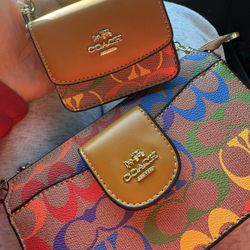 Mommy + Me Coach Bags