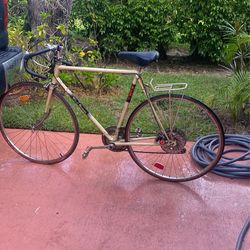 Speed bike