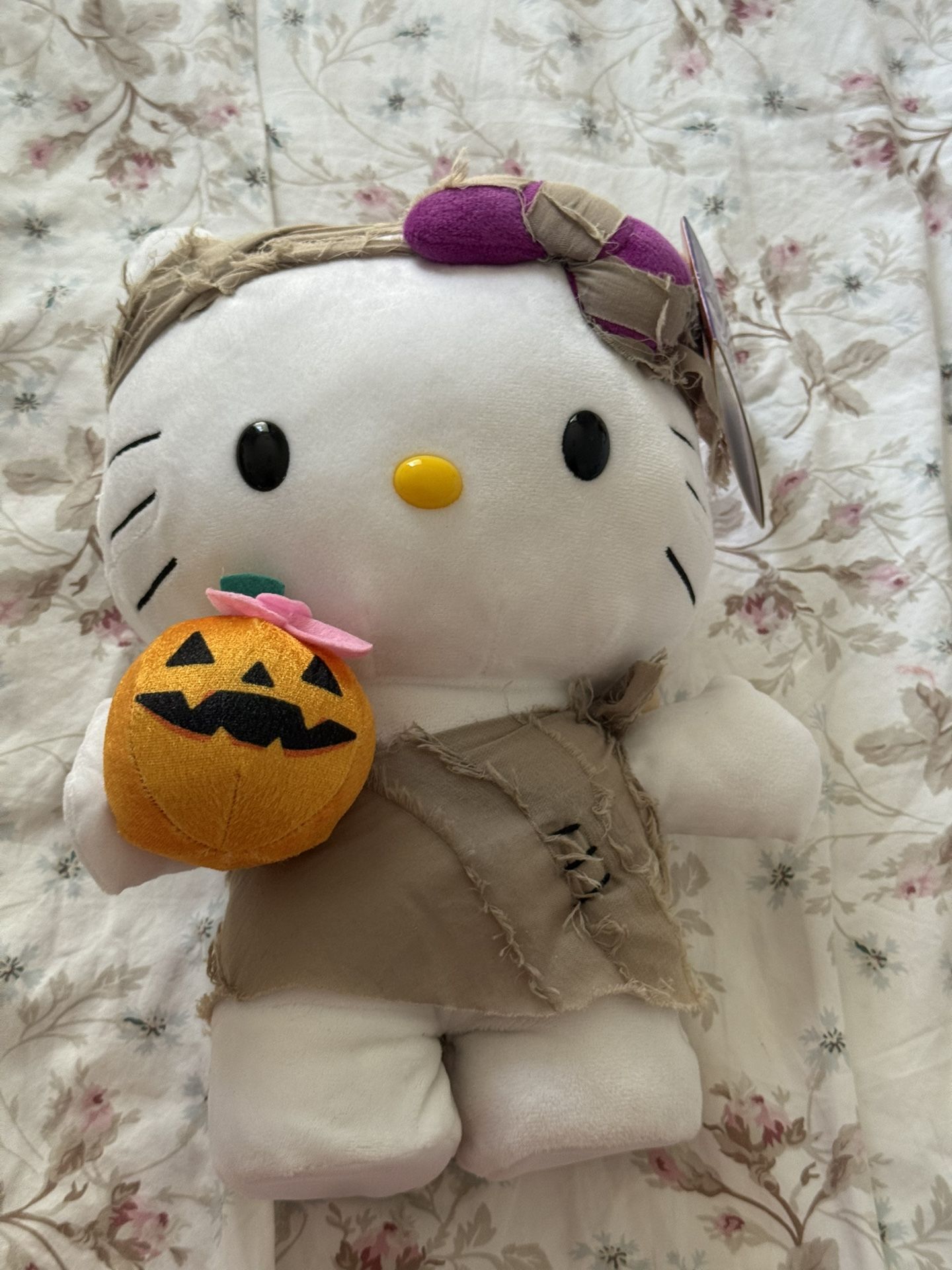 Hello Kitty halloween side stepper