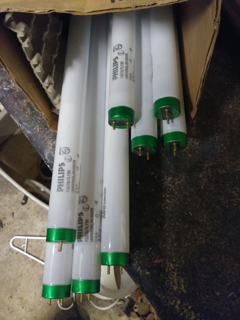 8 Phillips florescent bulbs