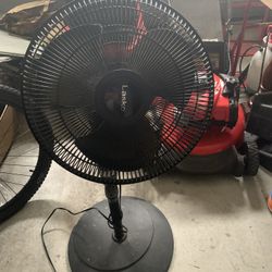 Fan 