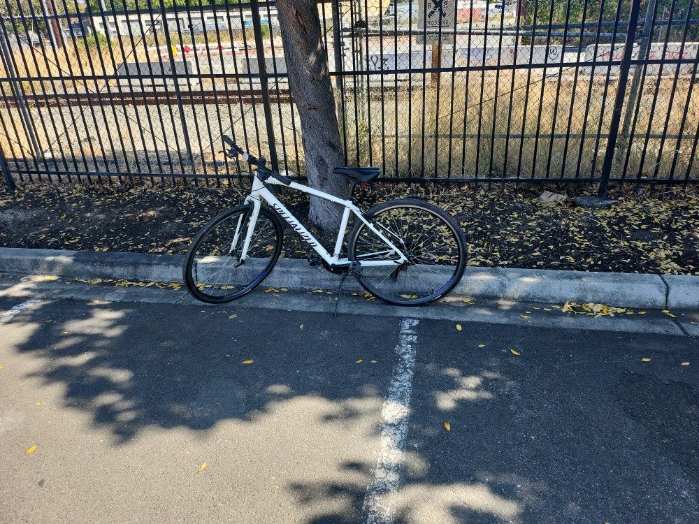 Specialized