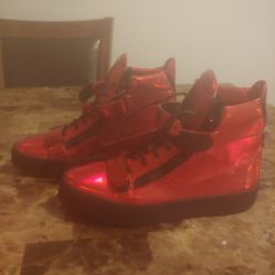 Giuseppe Zanotti Shoes And Matching Belt