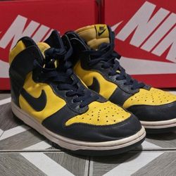 Nike Dunk Hi Retro