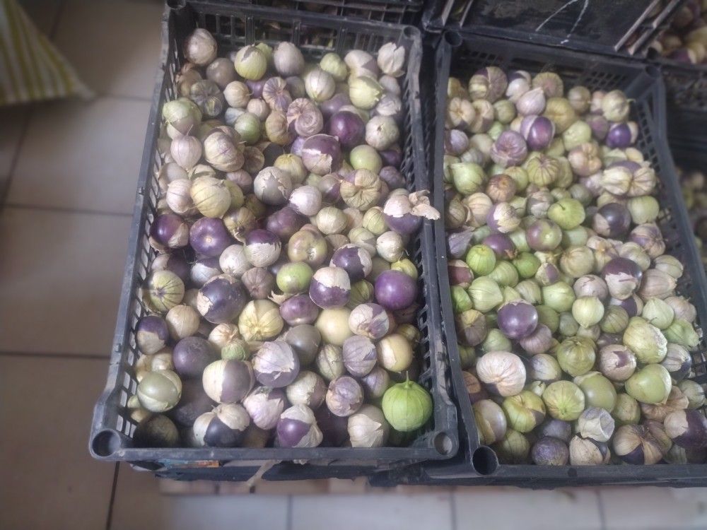 Tomatillos MILPEROS $30 La Caja Con 20 Lb..Oh 2 Cajas Por $50