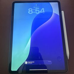 iPad Pro (11-inch) (4th Generation) 256GB