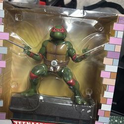 Teenage mutant ninja turtles