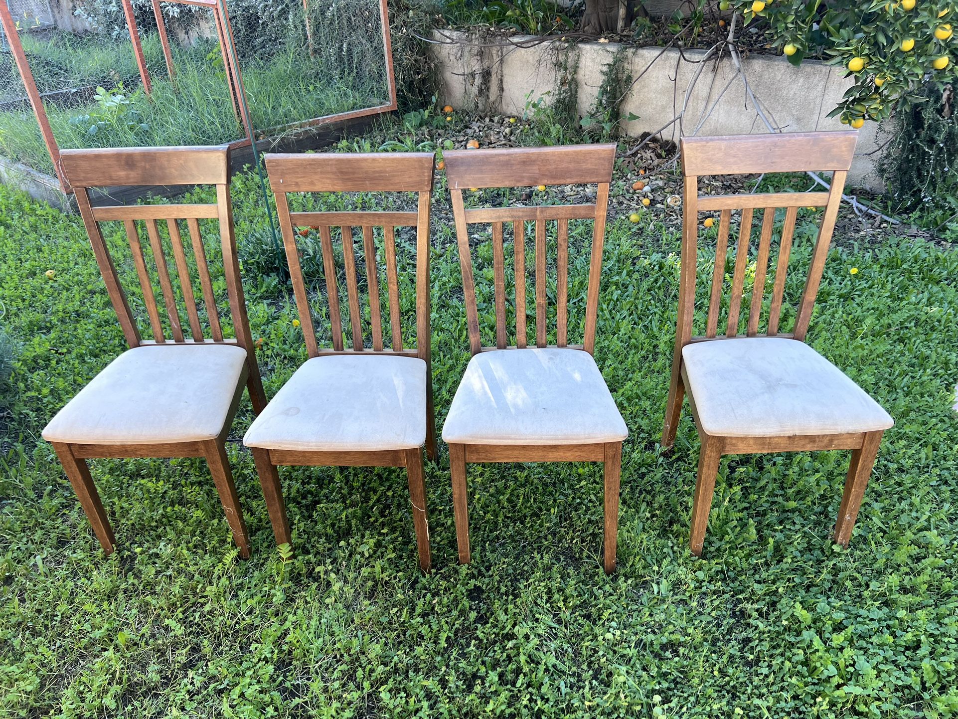 Chairs For Dining Table