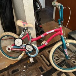 20 Inch Girls Bicycle