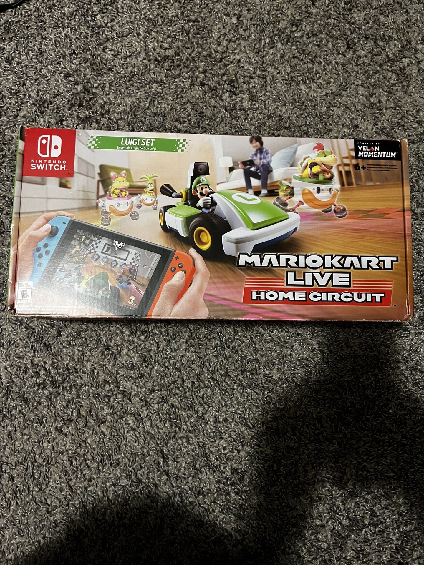 Mario Kart Live Home Circuit Luigi 