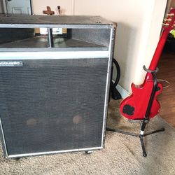 ACOUSTIC BASS GUITAR CABNET