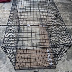 Large Dog Crate 