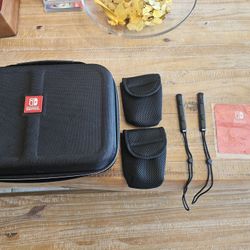Nintendo Switch Travel Case