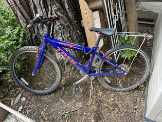 Trek 220 Mountain Track Youth Bike