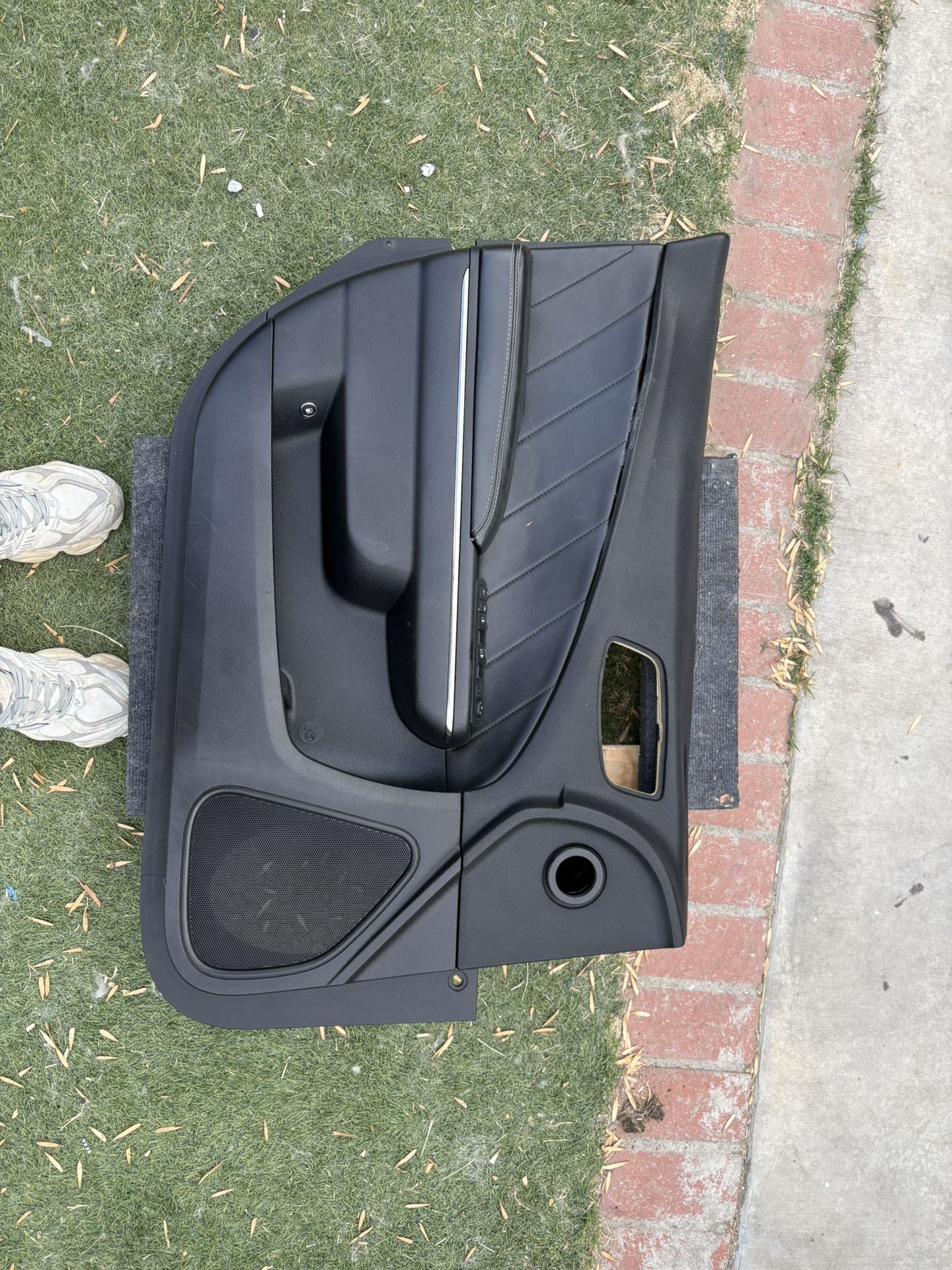 Dodge Charger Door Panels