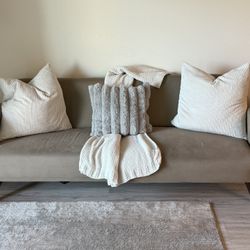 Taupe Sofa 