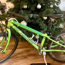 Kids Islabike Beinn 20