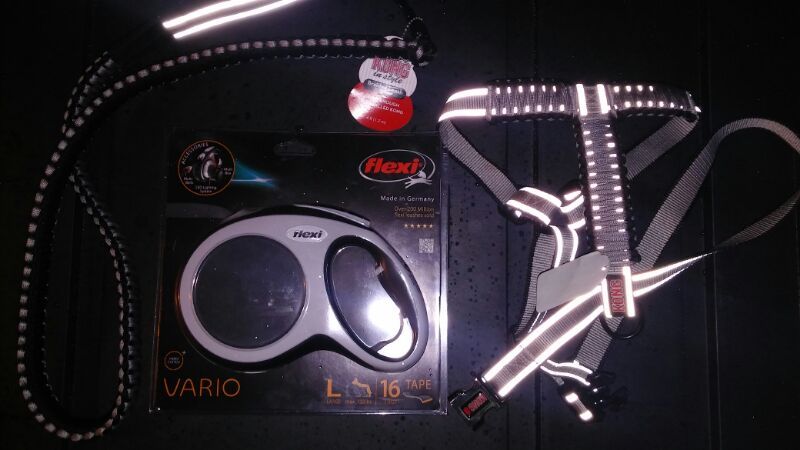 NEW!! KONG HARNESS & KONG LEASH & FKEXI VARIO RETRACTABLE LEASH ALL LARGE NEW