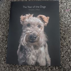 The Year of the Dogs by Vincent J. Musi