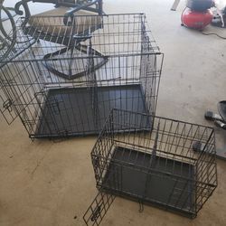Dog Crates