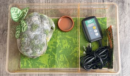 Reptile Enclosure Setup with Jump Start Thermostat