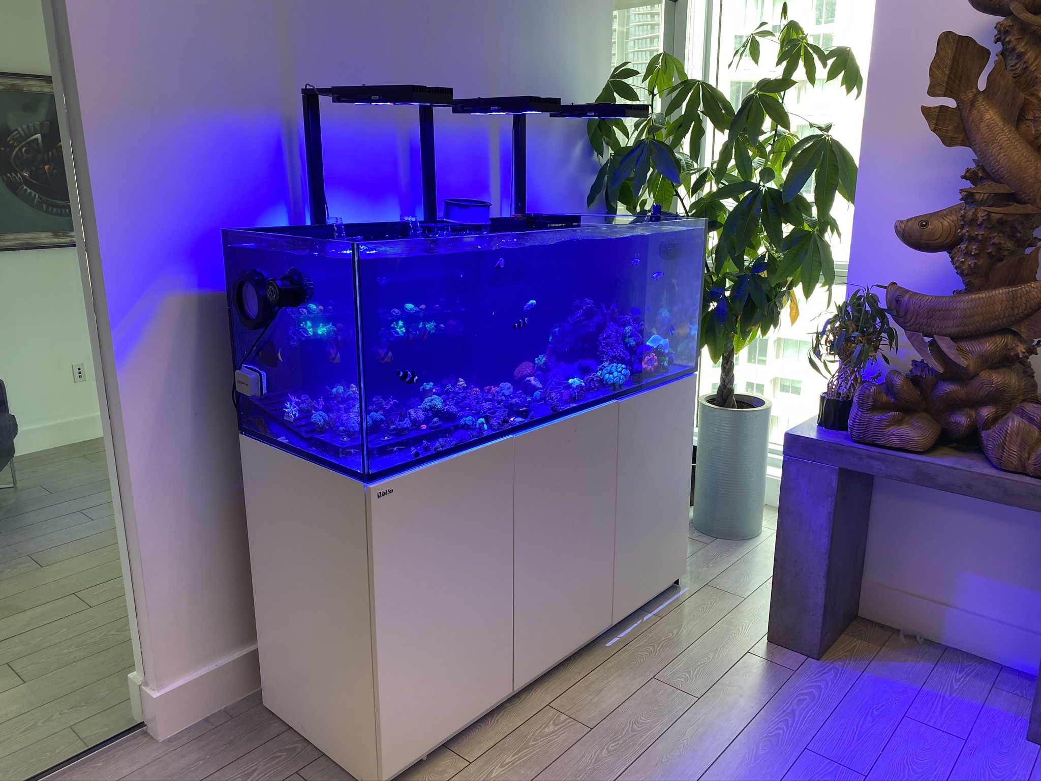Red Sea. Reefer XL 525xl 112 Gallon