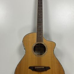 Breedlove Acoustic/Electric Guitar 