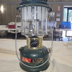 Common Lantern 