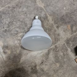 LED Light's Bulb Total 60 Units Local Delivery