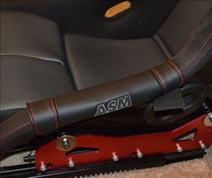 Asm ricaro side protector
