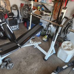 Olympic Weight Bench