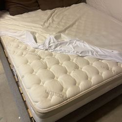 Saatva Company Mattress