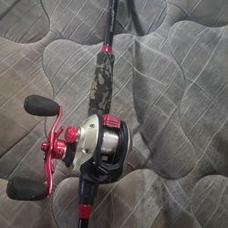 Fishing pole