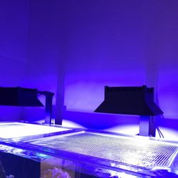 Kraken Reef Red Sea Lid Aquarium Cover 425 G2 G2+ Coral